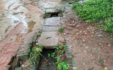 जमुनीपुर गांव के विकास कार्यों की खुल  रही कलई, जलजमाव से भरी नालियाँ, ग्रामीणों में आक्रोश