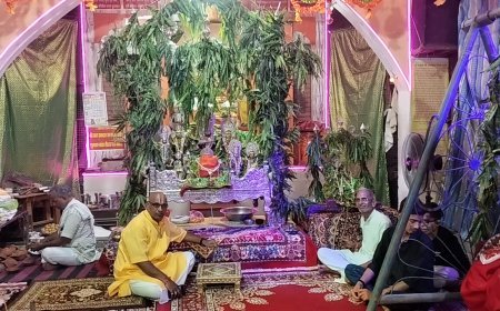 सिद्ध पीठ श्री गहोई मंदिर में झूलनोत्सव  कार्यक्रम का भव्य हुआ समापन