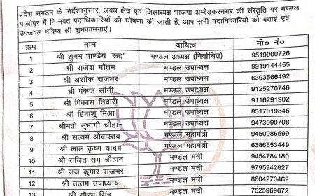 अंबेडकर नगर : समाजसेवी सत्यम श्रीवास्तव बने मालीपुर मण्डल महामंत्री