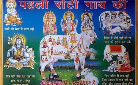 अयोध्या: राष्ट्रीय गौ रक्षक सेना भारत के राष्ट्रीय अध्यक्ष शैलेंद्र पहलवान ने भरी हुंकार, गौ माता को राष्ट्र माता घोषित करने की मांग