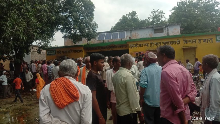 साधन सहकारी समिति अमानीगंज पर बड़ी मशक्कत के बाद बटी यूरिया खाद