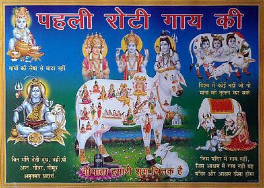 अयोध्या: राष्ट्रीय गौ रक्षक सेना भारत के राष्ट्रीय अध्यक्ष शैलेंद्र पहलवान ने भरी हुंकार, गौ माता को राष्ट्र माता घोषित करने की मांग