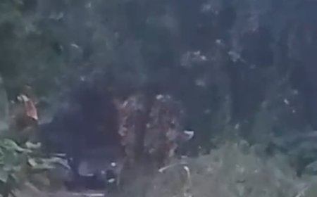 अम्बेडकर नगर: हरैया मंदिर विवाद, हरे-भरे पेड़ों की कटाई पर मचा बवाल