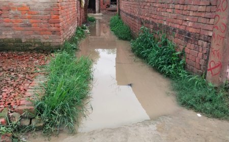 अम्बेडकर नगर: विकास की गंगा नहीं, सरयू की नाव पर सफर कर रहा है मकोईया गांव