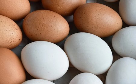 बर्ड फ्लू से अमेरिका के पोल्ट्री उद्योगों को हुआ भारी  नुकसान