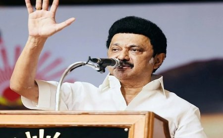 जर्मनी और ब्रिटेन की यात्रा सफल रही : CM स्टालिन