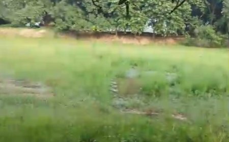 अम्बेडकर नगर : अमृत सरोवर योजना में भ्रष्टाचार का खुलासा, मकोईया तालाब बना "भ्रष्टाचार की गठरी"