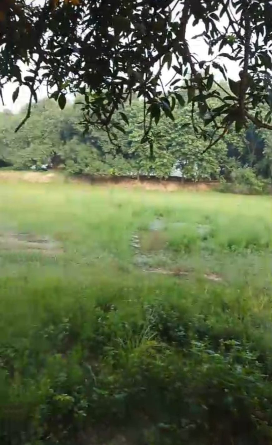 अम्बेडकर नगर : अमृत सरोवर योजना में भ्रष्टाचार का खुलासा, मकोईया तालाब बना "भ्रष्टाचार की गठरी"