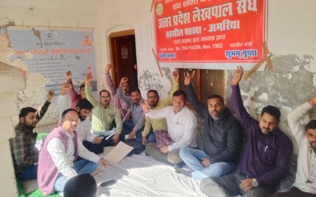 पीलीभीत में मांगों को लेकर भड़के लेखपाल, तहसीलों में जोरदार धरना