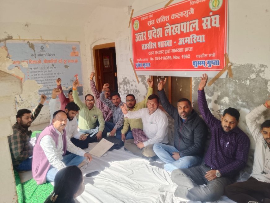 पीलीभीत में मांगों को लेकर भड़के लेखपाल, तहसीलों में जोरदार धरना