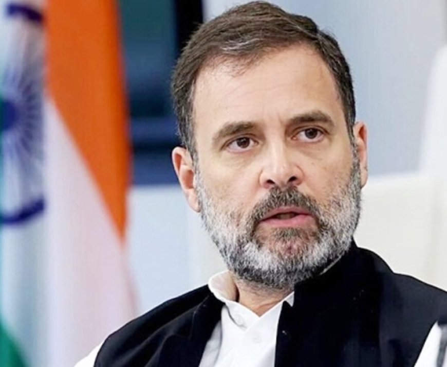 CJI सूर्यकान्त के शपथग्रहण में नजर नहीं आए राहुल गांधी, बीजेपी ने उठाया सवाल