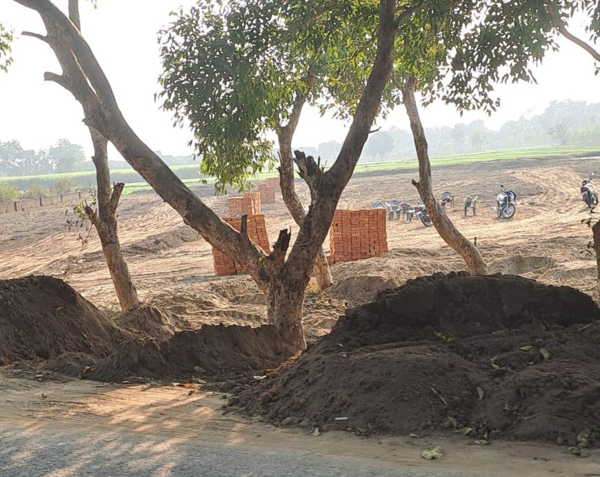 पीलीभीत : पूरनपुर–कलीनगर में सरकारी जमीन पर कब्जा कर धड़ल्ले से अवैध प्लाटिंग