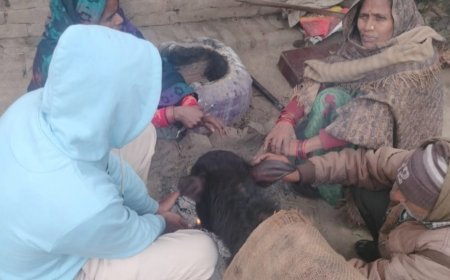 सुल्तानपुर: जनपद में कोहरे से मिली राहत, न्यूनतम तापमान 4.6 डिग्री दर्ज