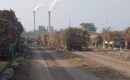 बलरामपुर चीनी मिल्स रौजागांव ने किसानों को किया लगभग 936 लाख रुपये का भुगतान, खातों में पहुंची गन्ना मूल्य राशि