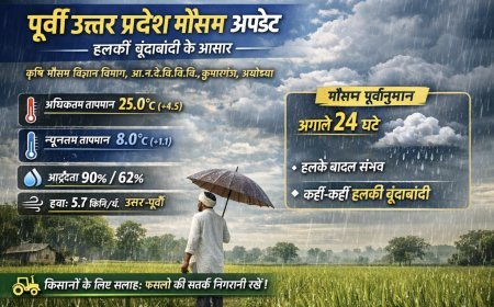 पूर्वी उत्तर प्रदेश मौसम अपडेट: बादल और हल्की बूंदाबांदी की संभावना, तापमान में बढ़ोतरी
