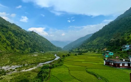 देहरादून के साल के वनों में होपलो कीट का प्रकोप बढ़ा, हजारों पेड़ खतरे में