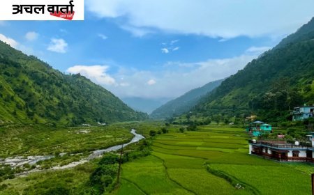 देहरादून के साल के वनों में होपलो कीट का प्रकोप बढ़ा, हजारों पेड़ खतरे में