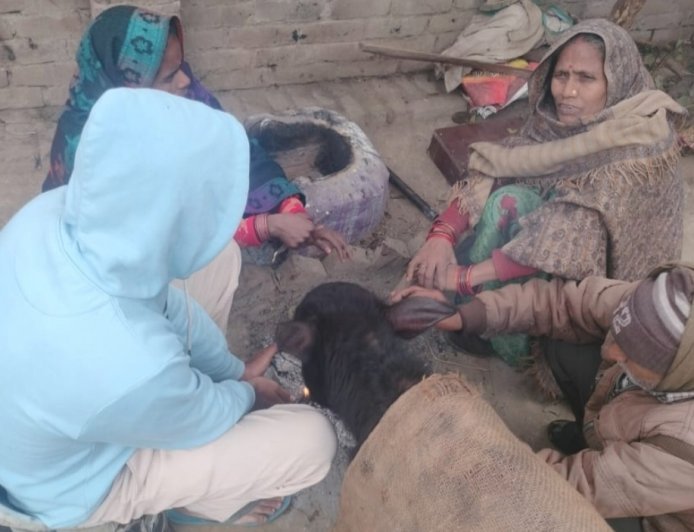 सुल्तानपुर: जनपद में कोहरे से मिली राहत, न्यूनतम तापमान 4.6 डिग्री दर्ज