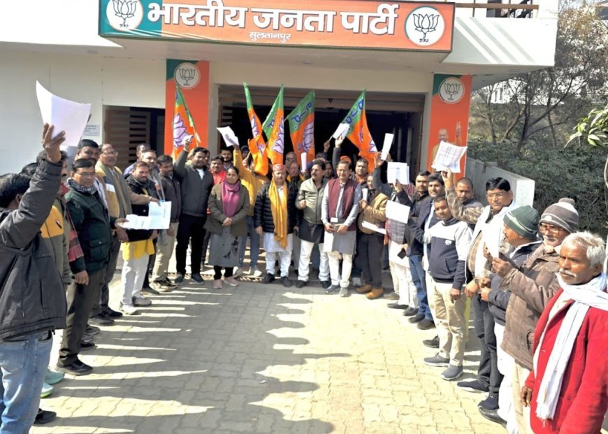 महाराष्ट्र नगर निगम चुनाव में भाजपा की ऐतिहासिक जीत, सुलतानपुर में मनाया गया जश्न