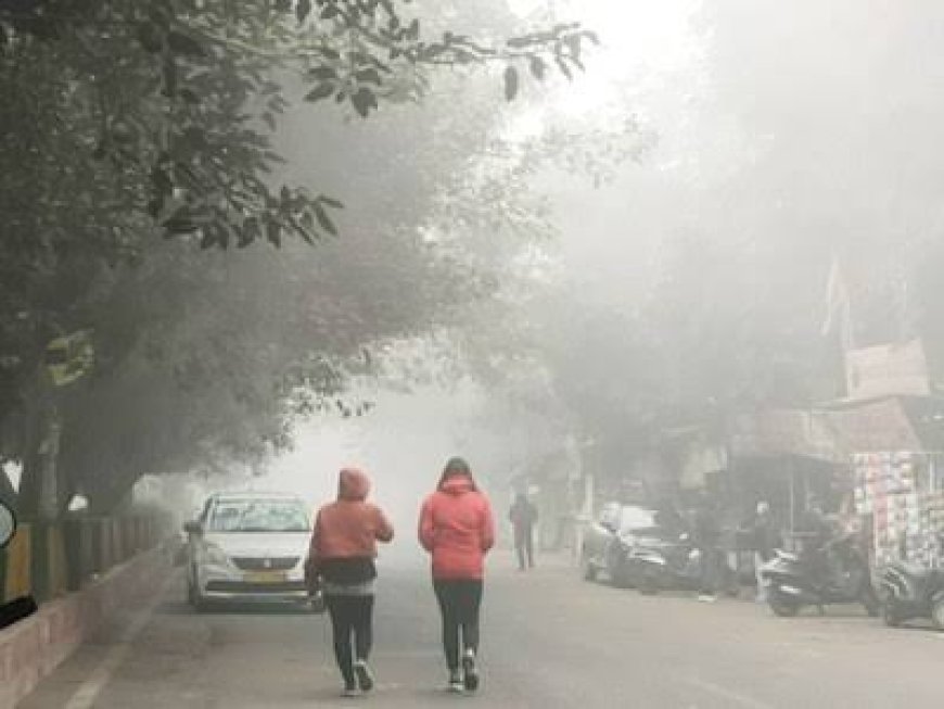 पूर्वी यूपी में सुबह घना कोहरा, तापमान सामान्य से नीचे रहने की संभावना: कृषि मौसम विज्ञान विभाग