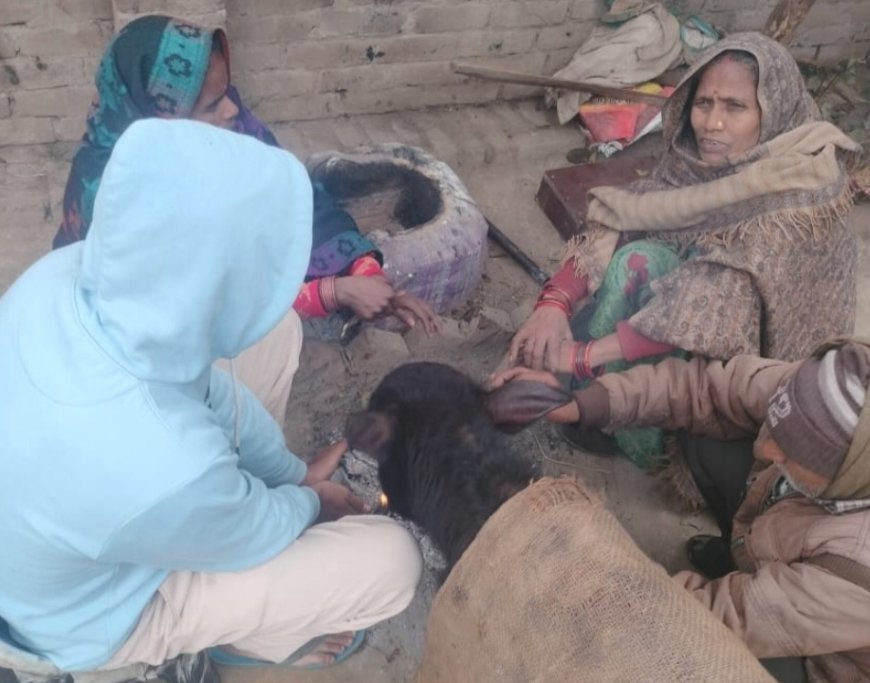 सुल्तानपुर: जनपद में कोहरे से मिली राहत, न्यूनतम तापमान 4.6 डिग्री दर्ज