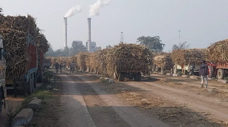 बलरामपुर चीनी मिल्स रौजागांव ने किसानों को किया लगभग 936 लाख रुपये का भुगतान, खातों में पहुंची गन्ना मूल्य राशि