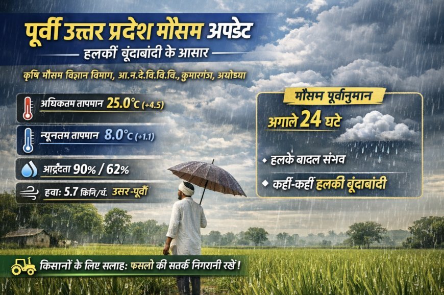 पूर्वी उत्तर प्रदेश मौसम अपडेट: बादल और हल्की बूंदाबांदी की संभावना, तापमान में बढ़ोतरी