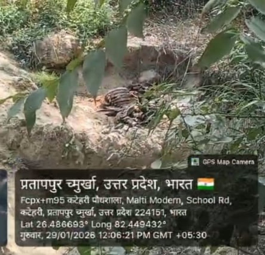 अम्बेडकर नगर: अकबरपुर नगर पालिका में तानाशाही का बोलबाला,मजदूरों की पसीने की कमाई पर ठेकेदारों की खुली लूट,अधिकारियों की चुप्पी बनी सबसे बड़ा सवाल