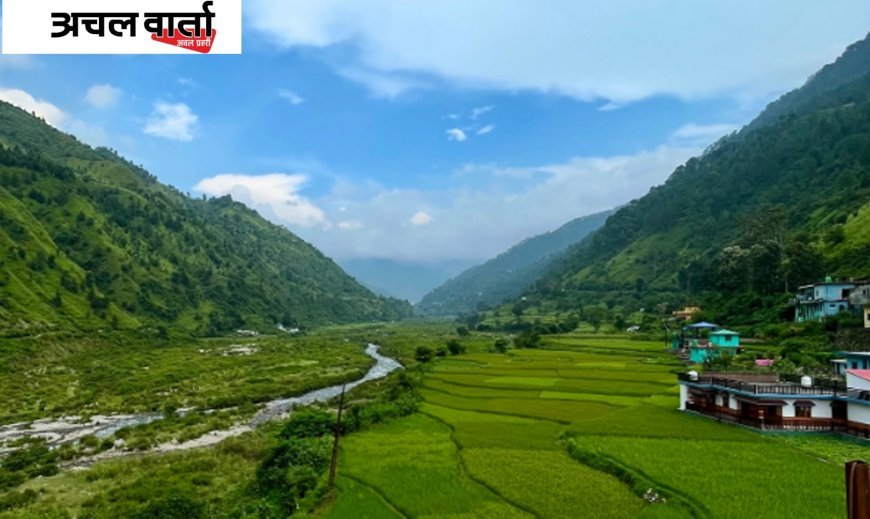 देहरादून के साल के वनों में होपलो कीट का प्रकोप बढ़ा, हजारों पेड़ खतरे में