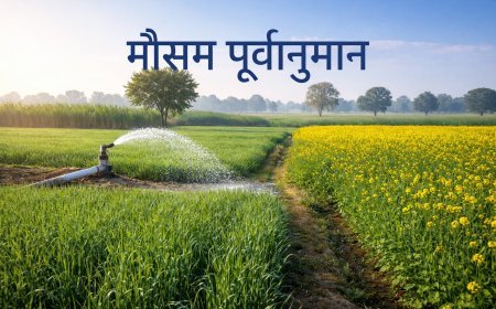 पूर्वी उत्तर प्रदेश में मौसम रहेगा शुष्क, तापमान में हल्की बढ़ोतरी