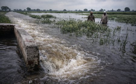 जौनपुर : नहर ओवरफ्लो करने से की किसानों के खेतों फसलों में घुसा पानी