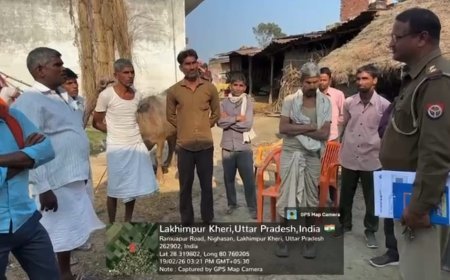 लखीमपुर खीरी: बौधिया कलां में मृत गाय को लेकर फैली अफवाह, पुलिस ने संभाला