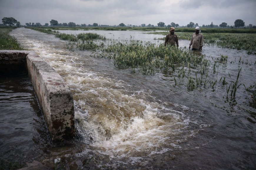 जौनपुर : नहर ओवरफ्लो करने से की किसानों के खेतों फसलों में घुसा पानी