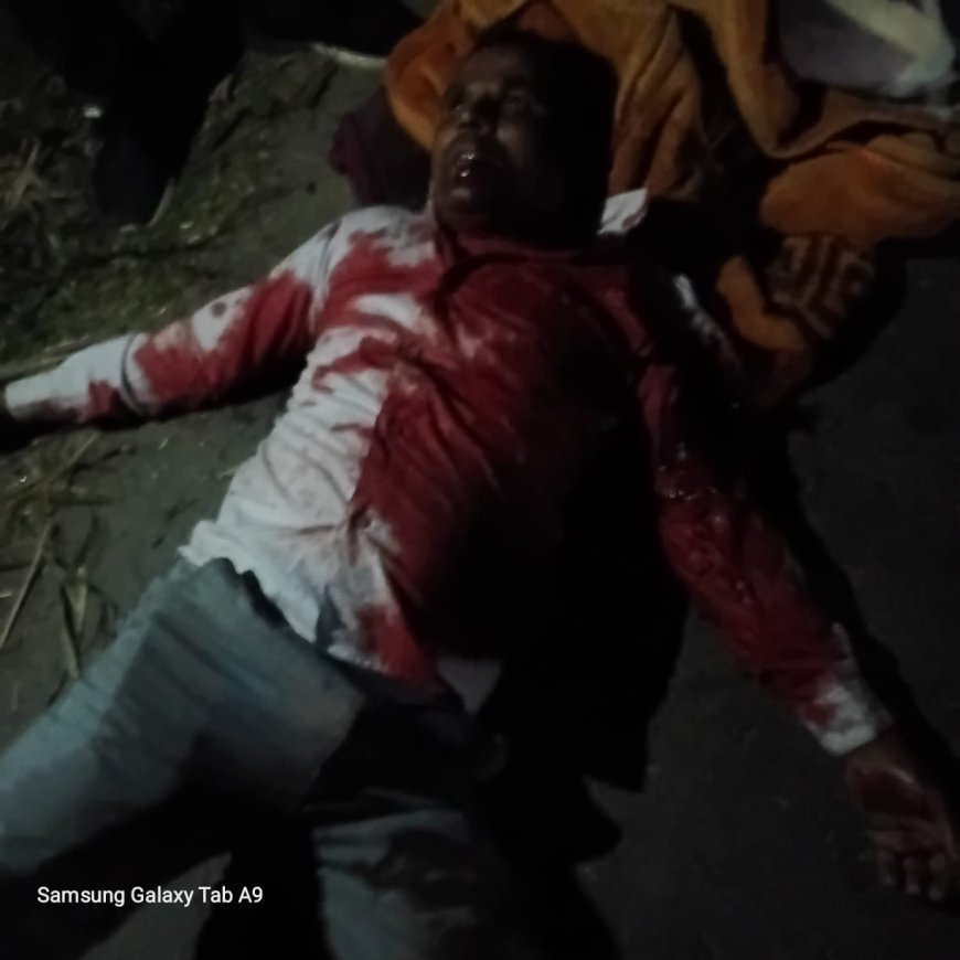 सीतापुर: भदफर चौकी क्षेत्र में भीषण सड़क हादसा, एक की मौत, दूसरा गंभीर घायल