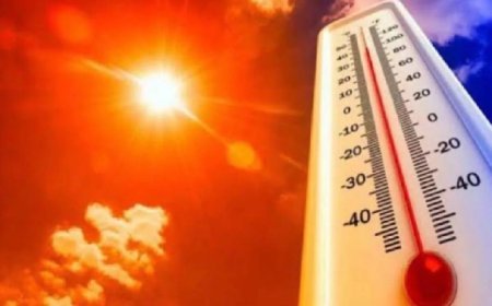 हरियाणा में बढ़ने लगी गर्मी, हिसार में 32 डिग्री के पार तापमान, मार्च की शुरुआत में बदला मौसम का मिजाज, जानें आज कैसा रहेगा मौसम