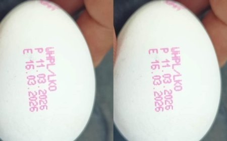 उत्तर प्रदेश में अंडों पर लगेगी एक्सपायरी डेट, 1 अप्रैल से नया नियम लागू