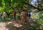 शाहजहांपुर: चार दिन से लापता ग्रामीण का शव आम के बाग में पेड़ से लटका मिला, आत्महत्या की आशंका