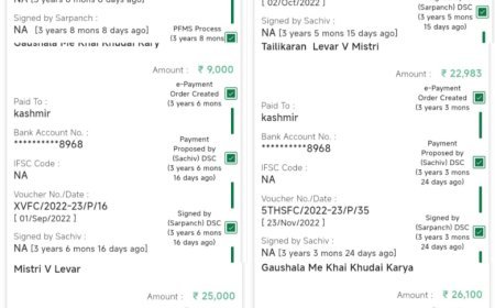 हरदोई : नियम ताक पर, निजी खाते में भुगतान लेकर प्रधान बने सिकन्दर, जिम्मेदार अधिकारी बने गांधी जी के बन्दर