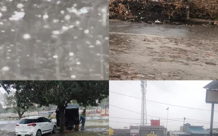 बेमौसम बारिश और ओलावृष्टि से तबाही, किसानों की मेहनत पर फिरा पानी