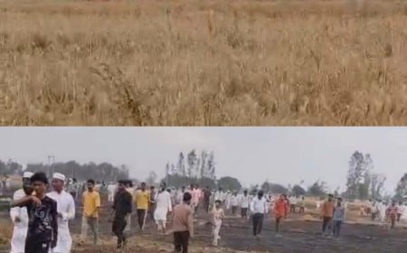 हाईटेंशन बिजली लाइन से निकली चिंगारी ने मचाई भीषण आग, लखीमपुर खीरी में 81 बीघा गेहूं की फसल जलकर राख