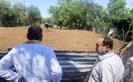 गो सेवा के उपाध्यक्ष ने अस्थाई गो आश्रय स्थल पश्चिम गांव, ब्लॉक चिनहट तथा कान्हा गोशाला अकुहारी, नगर पंचायत बख्शी का तालाब का किया निरीक्षण