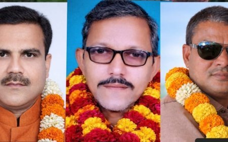 पत्रकार संगठन में राजू दुबे, भगवंत यादव व उमेश गिरी को नई जिम्मेदारी