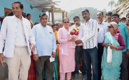 पिरूल बायोमास प्लांट से बढ़ेंगे रोजगार