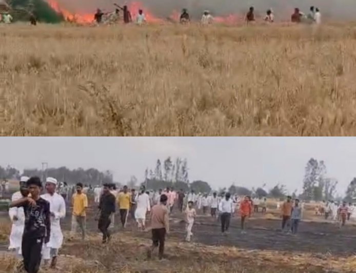हाईटेंशन बिजली लाइन से निकली चिंगारी ने मचाई भीषण आग, लखीमपुर खीरी में 81 बीघा गेहूं की फसल जलकर राख