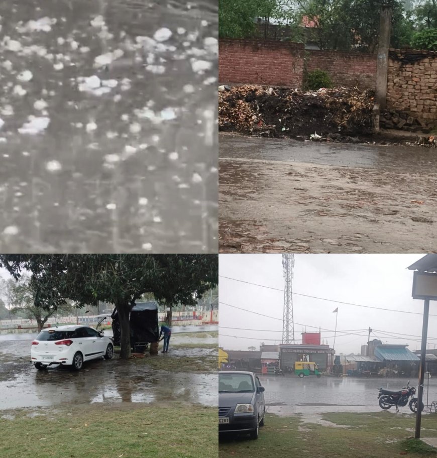 बेमौसम बारिश और ओलावृष्टि से तबाही, किसानों की मेहनत पर फिरा पानी