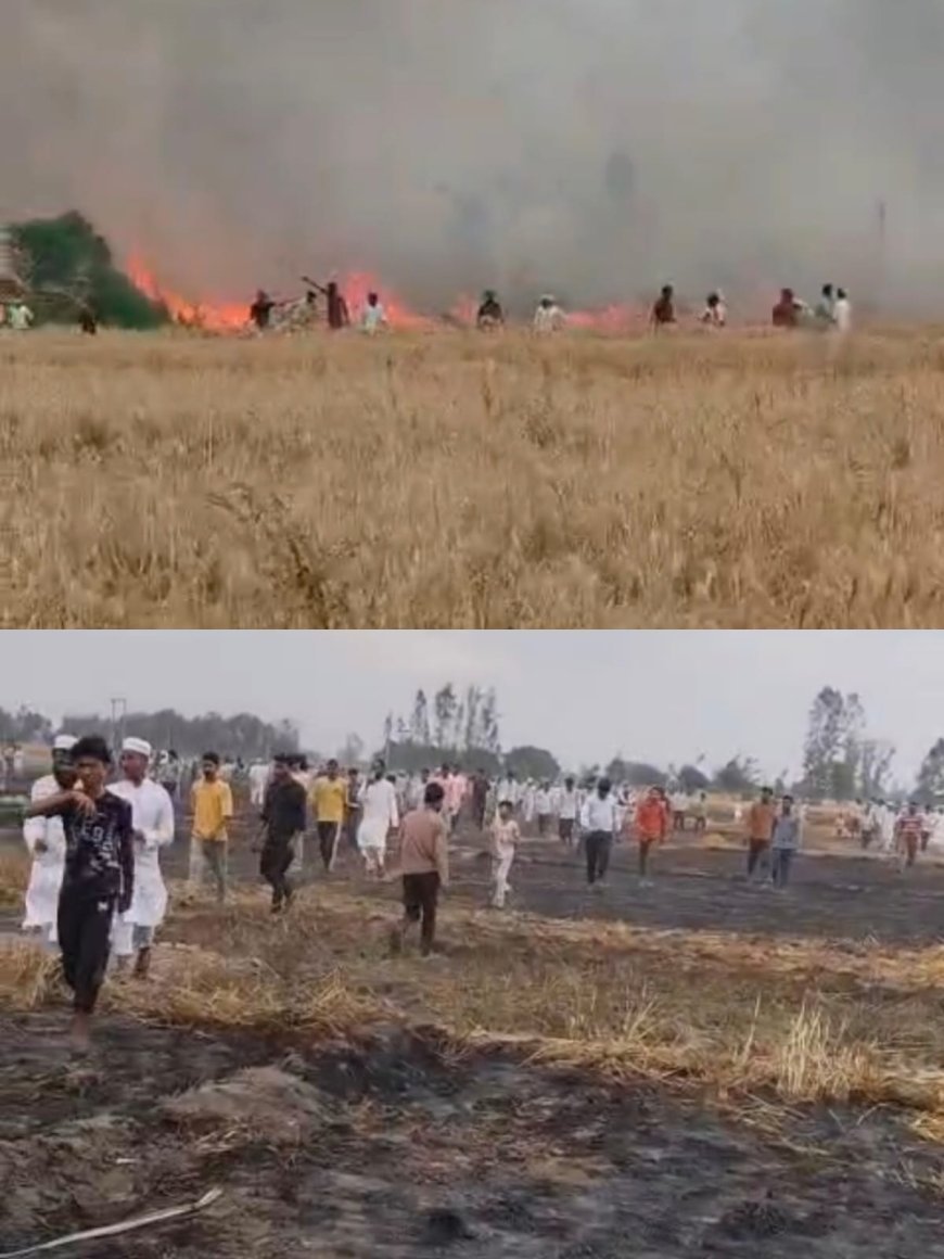 हाईटेंशन बिजली लाइन से निकली चिंगारी ने मचाई भीषण आग, लखीमपुर खीरी में 81 बीघा गेहूं की फसल जलकर राख