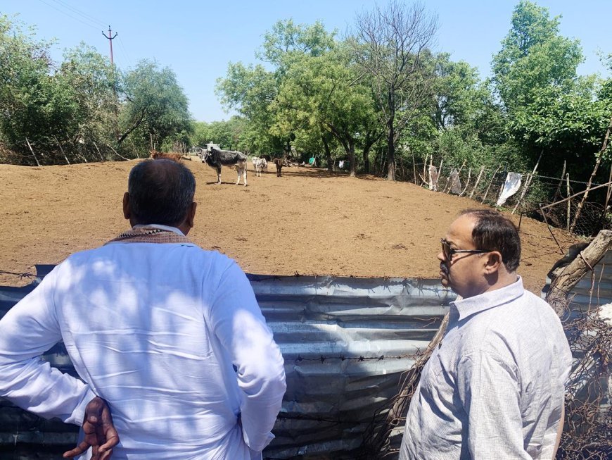 गो सेवा के उपाध्यक्ष ने अस्थाई गो आश्रय स्थल पश्चिम गांव, ब्लॉक चिनहट तथा कान्हा गोशाला अकुहारी, नगर पंचायत बख्शी का तालाब का किया निरीक्षण