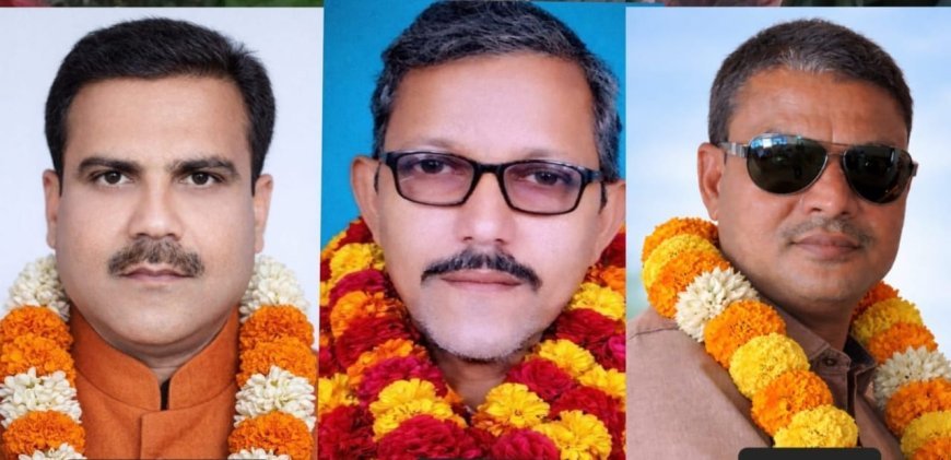 पत्रकार संगठन में राजू दुबे, भगवंत यादव व उमेश गिरी को नई जिम्मेदारी