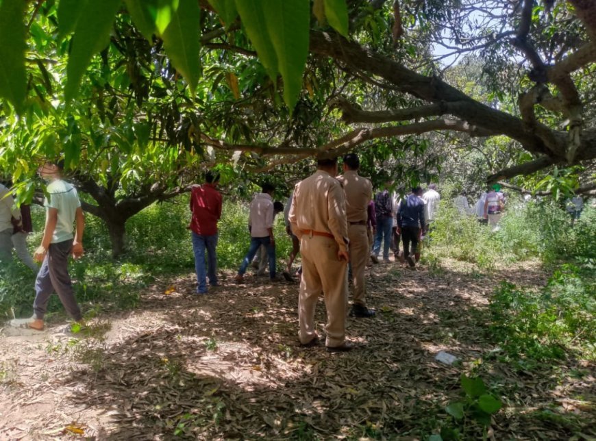 शाहजहांपुर: चार दिन से लापता ग्रामीण का शव आम के बाग में पेड़ से लटका मिला, आत्महत्या की आशंका