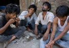 मथुरा : वृंदावन परिक्रमा मार्ग पर नशाखोरों का आतंक, श्रद्धालुओं में बढ़ी दहशत